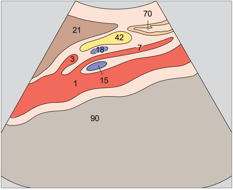 Stomach anatomy diagram, Body of pancreas, splenic vein, superior mesenteric artery, aorta