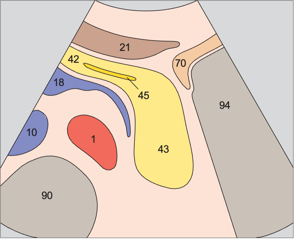Stomach anatomy diagram, Tail of pancreas, gas in stomach