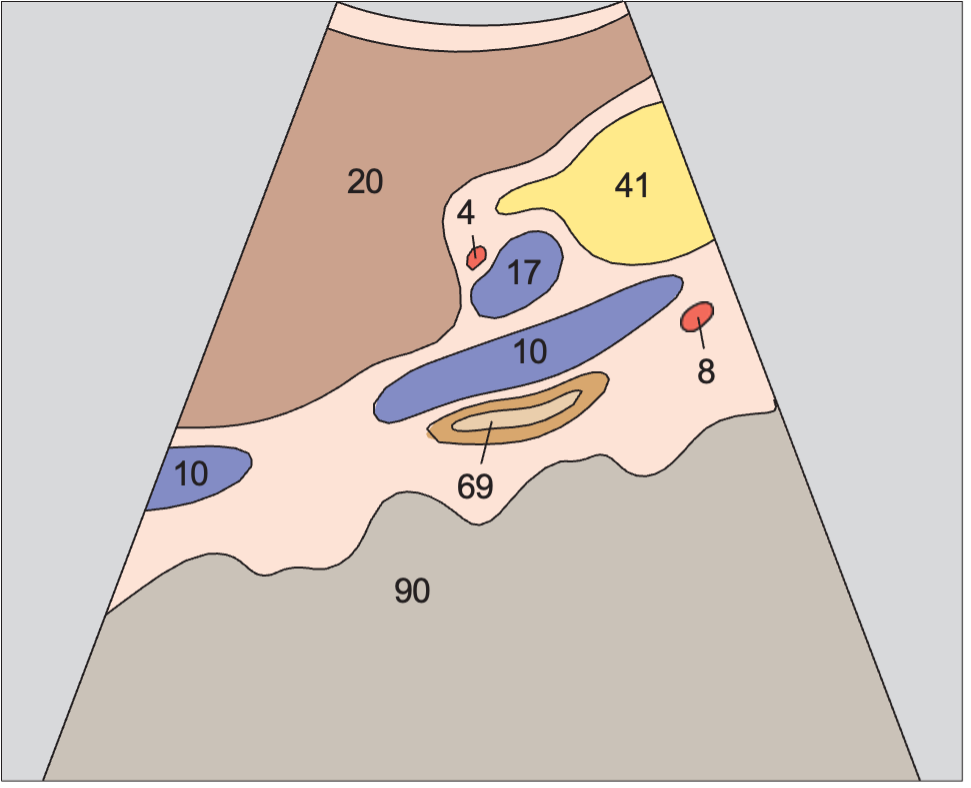 Spinal column anatomy diagram, Layers of adrenal gland