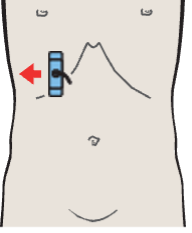Probe position, Right portal vein branch, body and neck of gallbladder