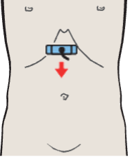 Probe position, Esophagus, aorta, liver