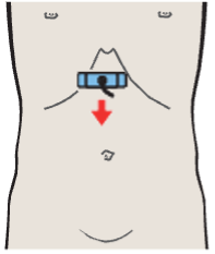 Probe position, Cardia, aorta, liver
