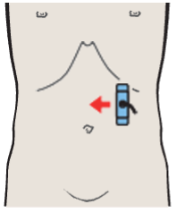 Probe position, Antrum, liver, pancreas