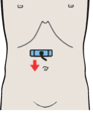 Probe position, Antrum, liver, pancreas