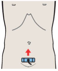 Probe position, Prostate, urethra, bladder