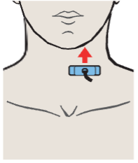Probe position, Left lobe of thyroid gland, sternocleidomastoid muscle, omohyoid muscle, common carotid artery, internal jugular vein