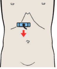 Probe position, Hepatic artery, portal vein, vena cava