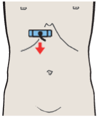 Probe position, Medial and anterior hepatic segments, left portal vein branch, caudate lobe